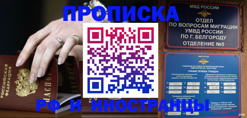 прописка гарантия в Курске